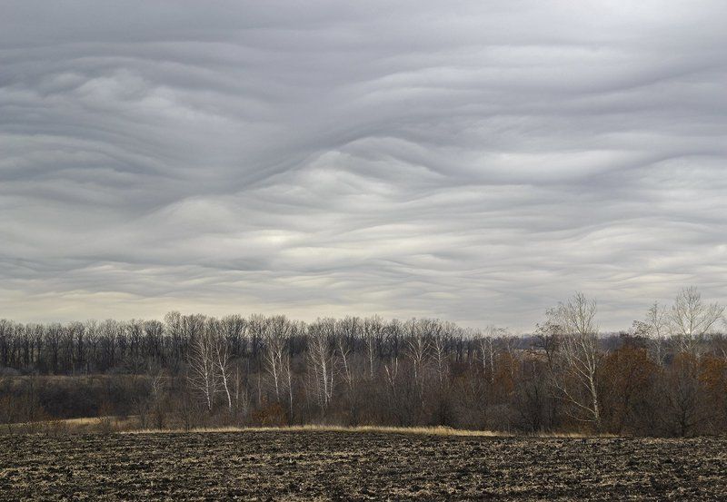 Поле фото превью