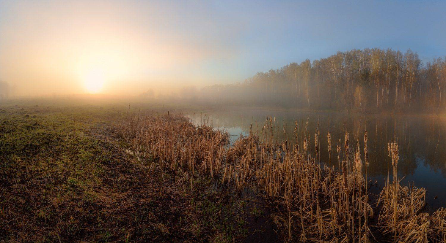тула, грумант, ясная поляна, Сергей Кочергин