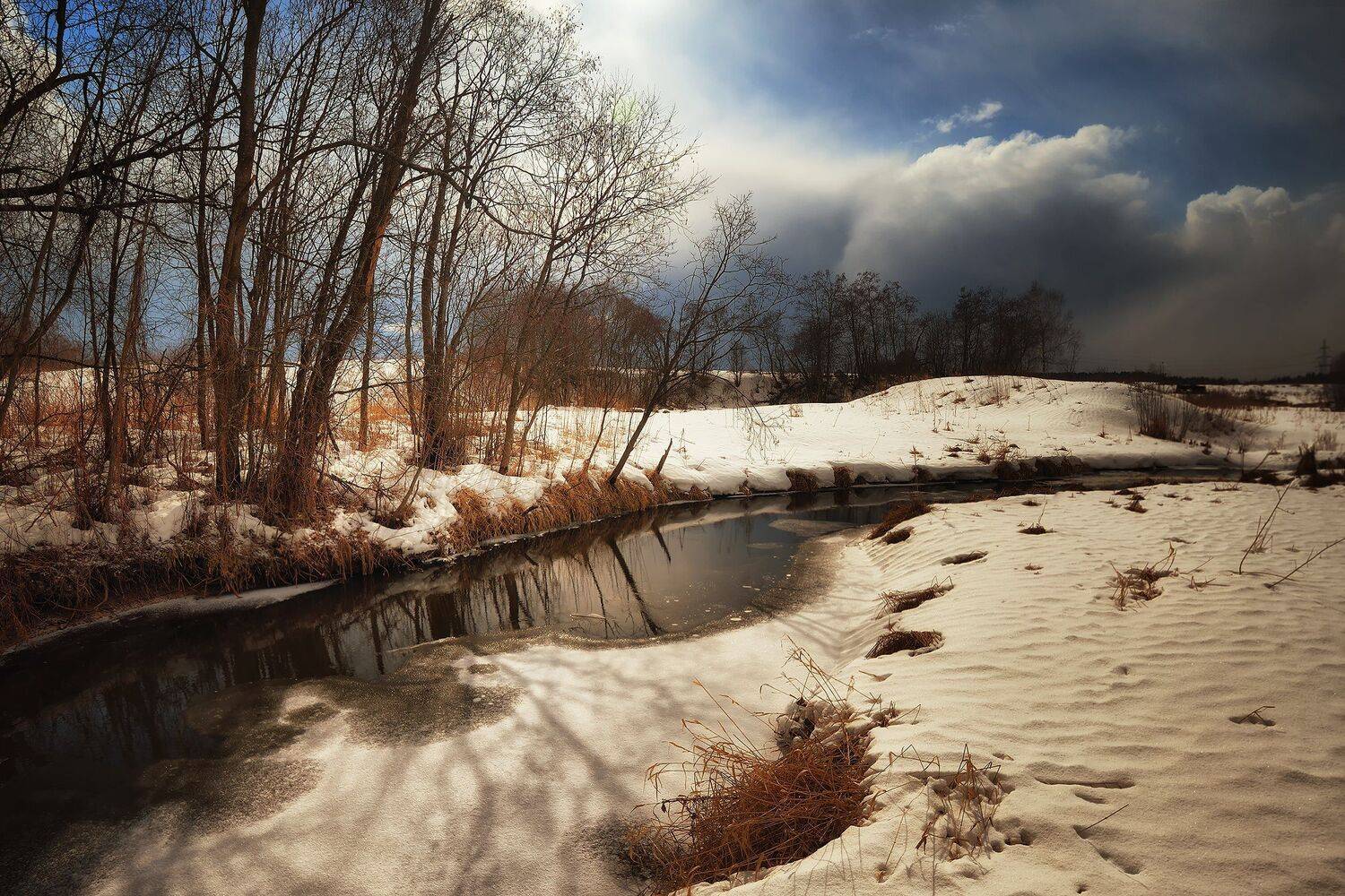 , Алексей Никонов