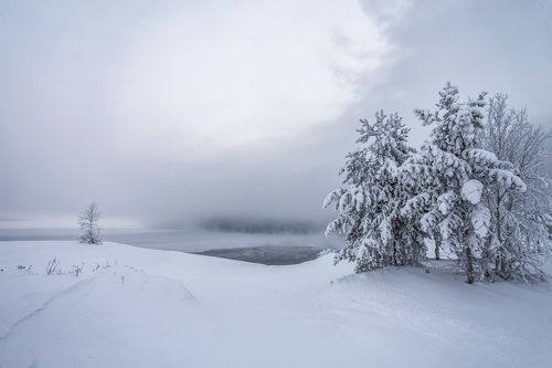 морозная серия