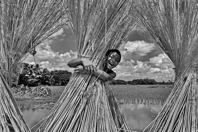 life фото превью