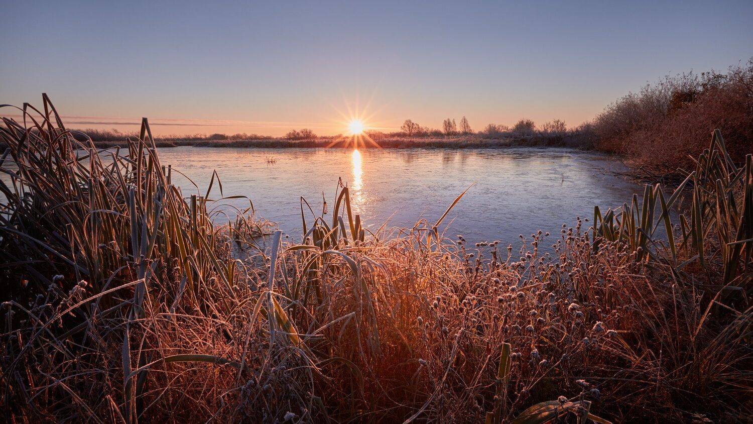 , Антон Кононов