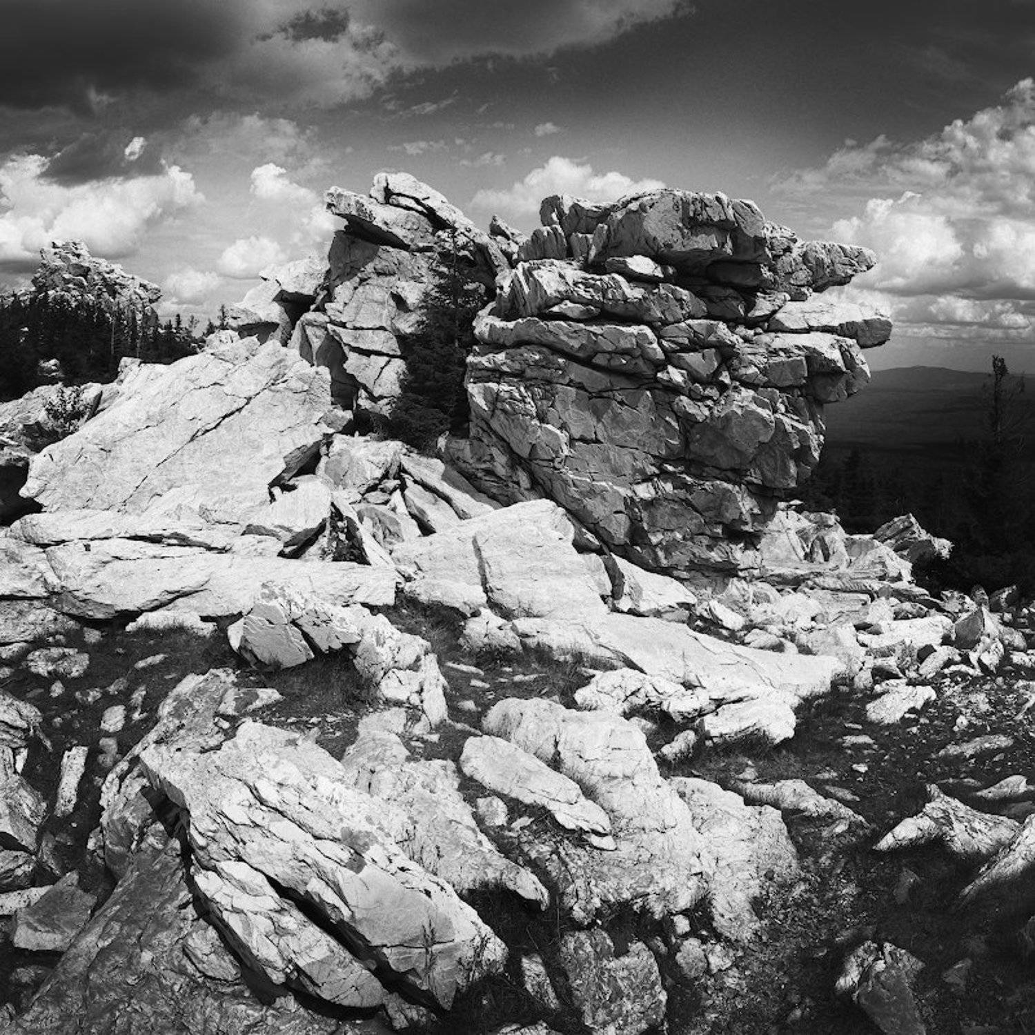 , Марина Никифорова