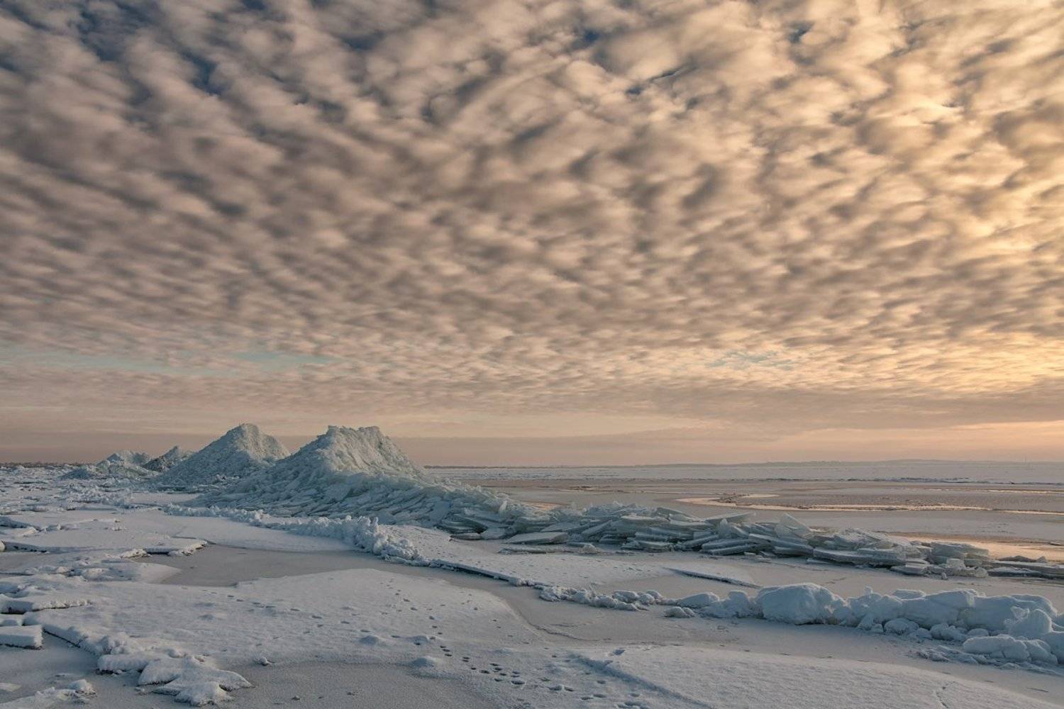 , Александр Войтенко