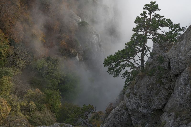 Крым, Демерджи Демерджи в тумане фото превью