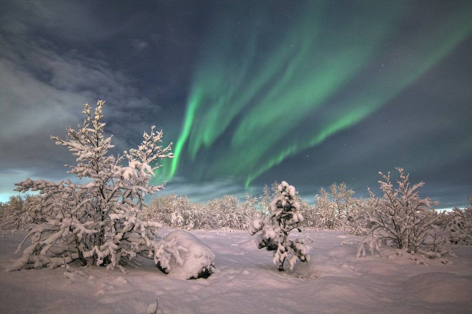 мурманская, область, сияние, Дмитрий