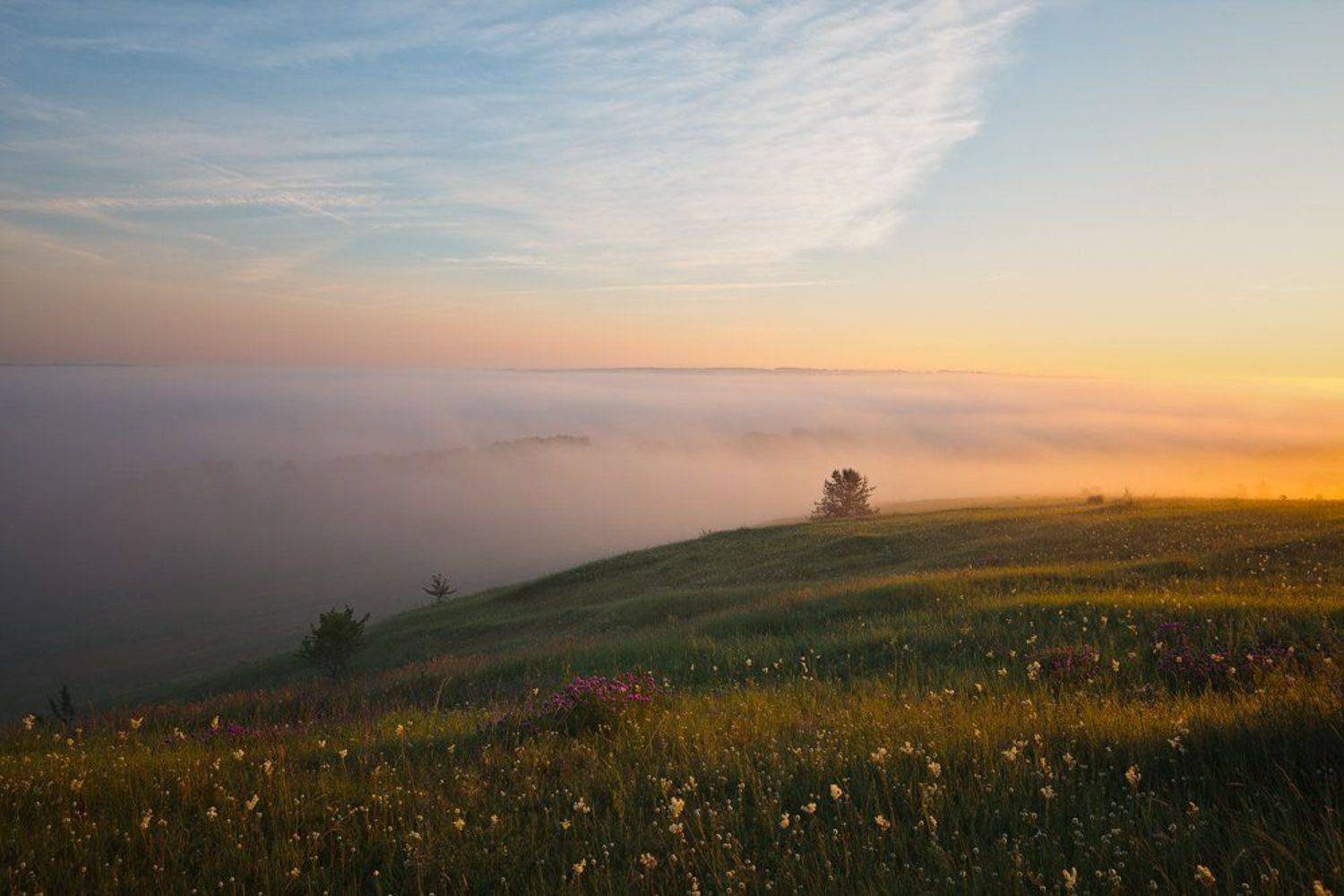 , Юрий Сорокин