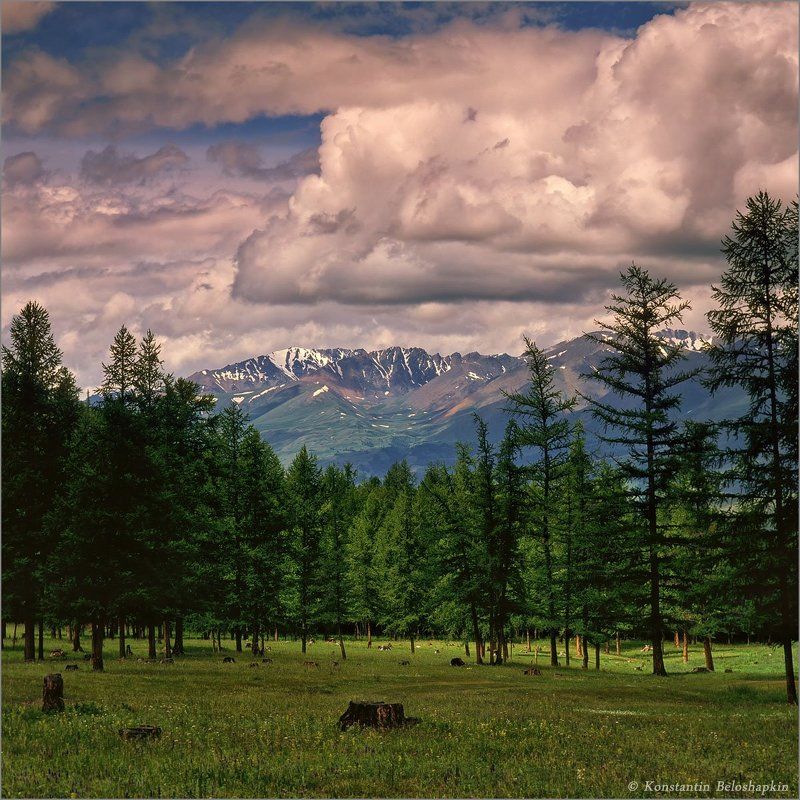 арталук, ортолык Арталук фото превью