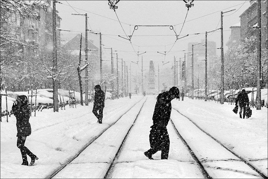 софия чб, Denis Buchel (Денис Бучель)