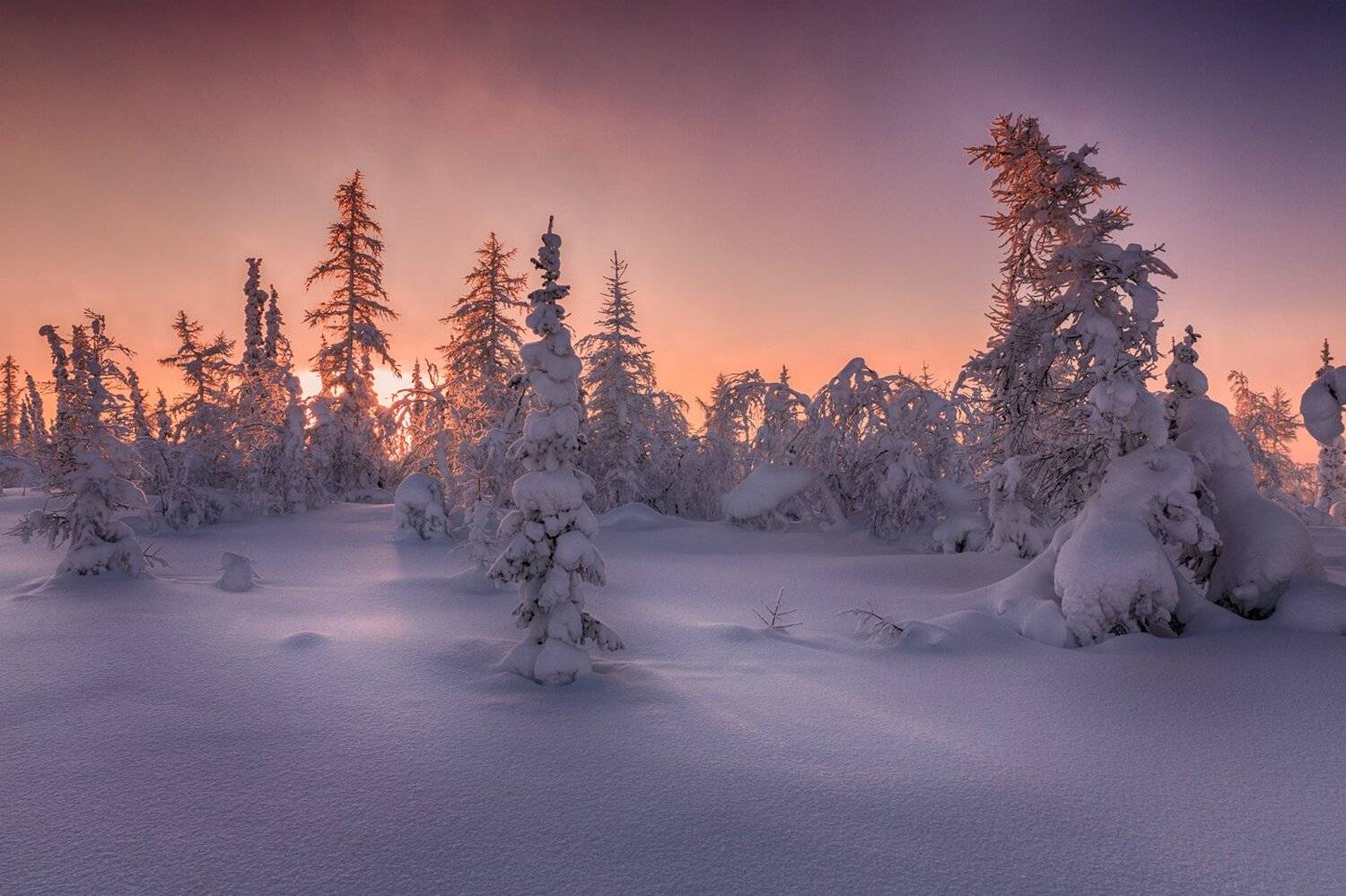 , Евгений Кужилев