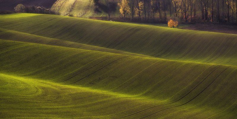Моравия...волнуется... фото превью