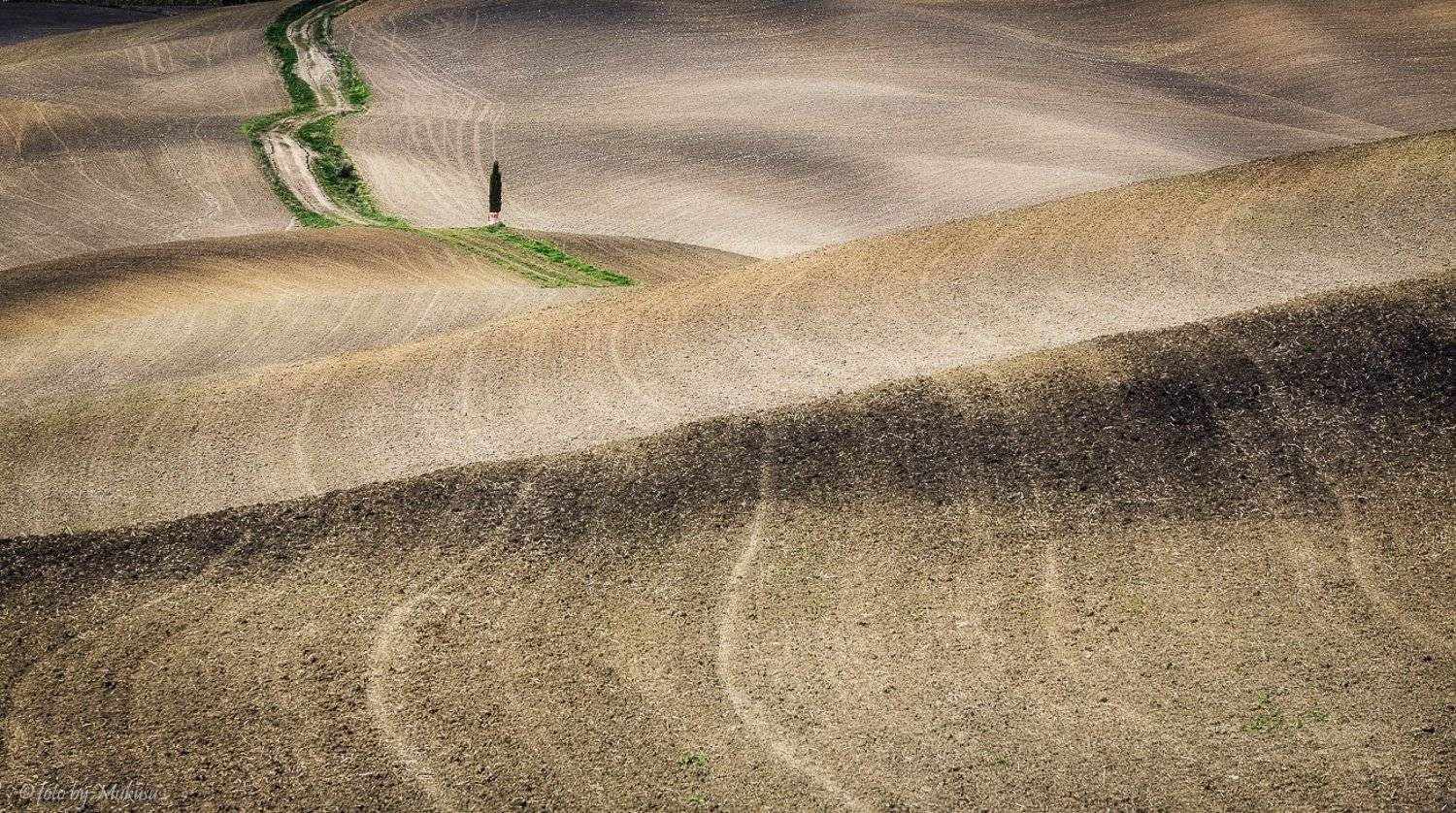 италия, тоскана, пейзаж, утро, путешествия, Алексей Самойленко