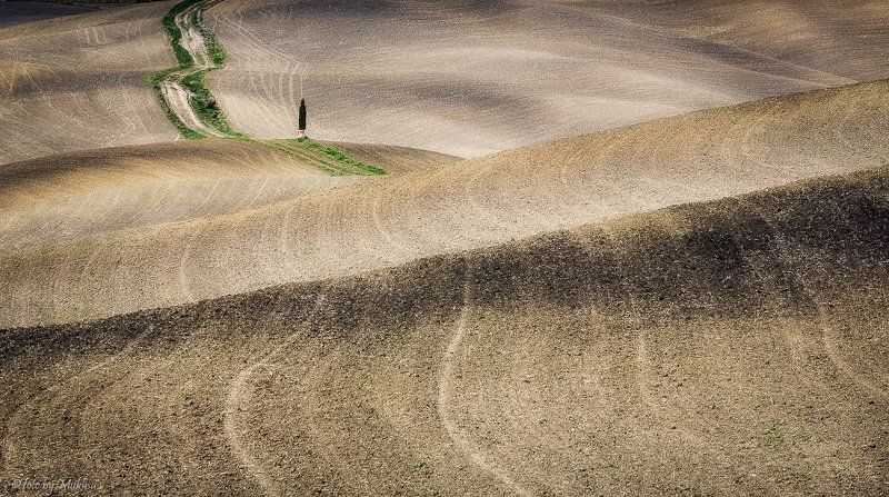 италия, тоскана, пейзаж, утро, путешествия Холмы Тосканы фото превью
