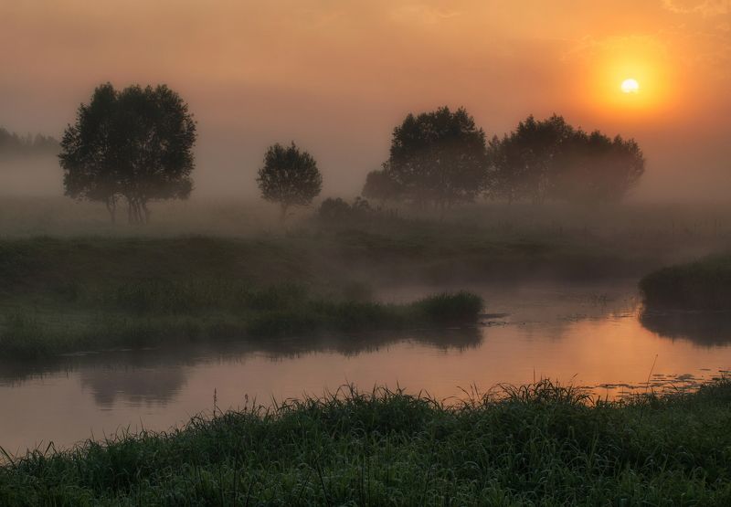 Летнее утро на реке Шерна фото превью