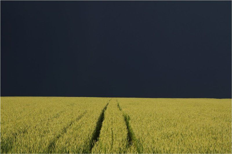 лето поле пшеница гроза Хлебное поле перед грозой. фото превью
