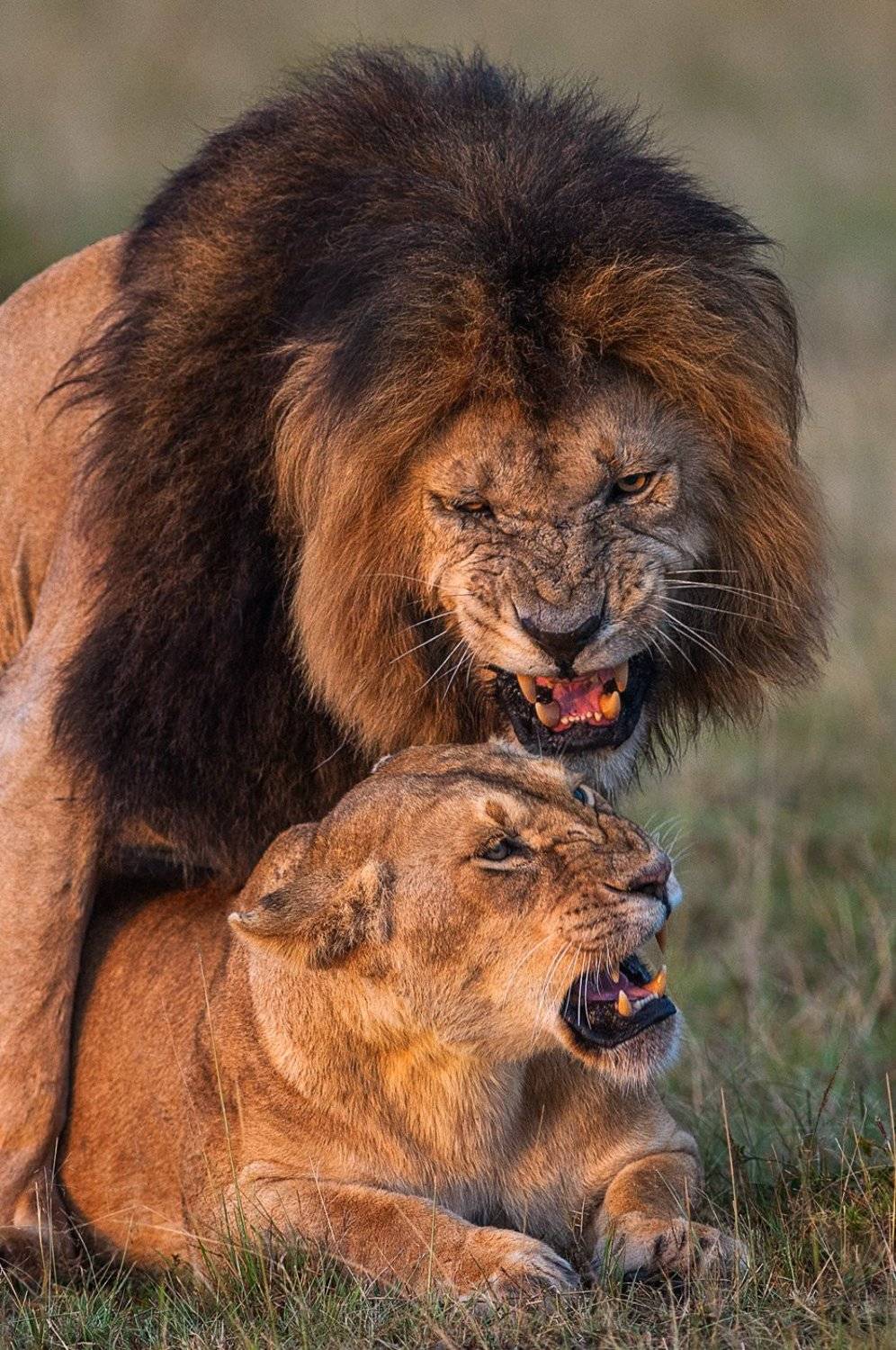 , Сергей Иванов