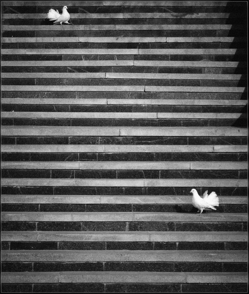 , Ильдар Садыков