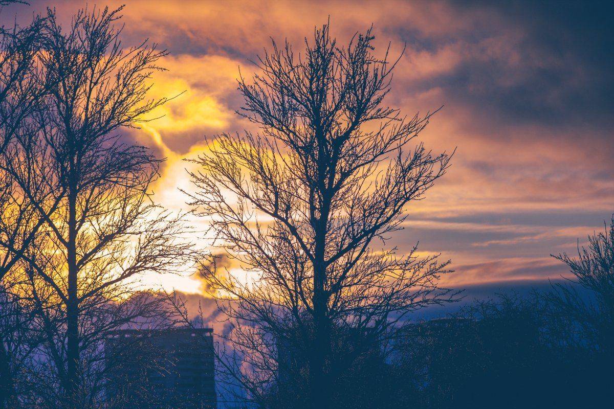 mr.filler, Николай