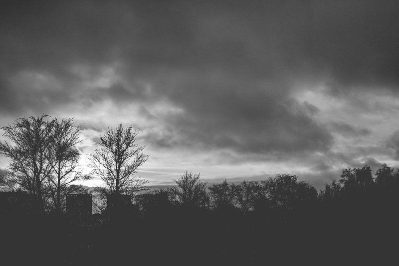 mr.filler *** фото превью