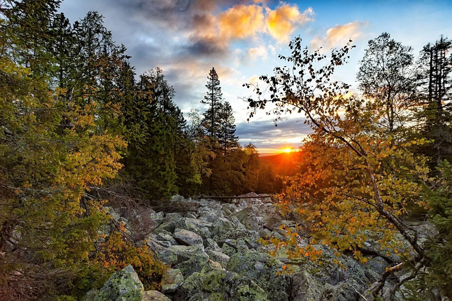 , Сергей Евдокимов