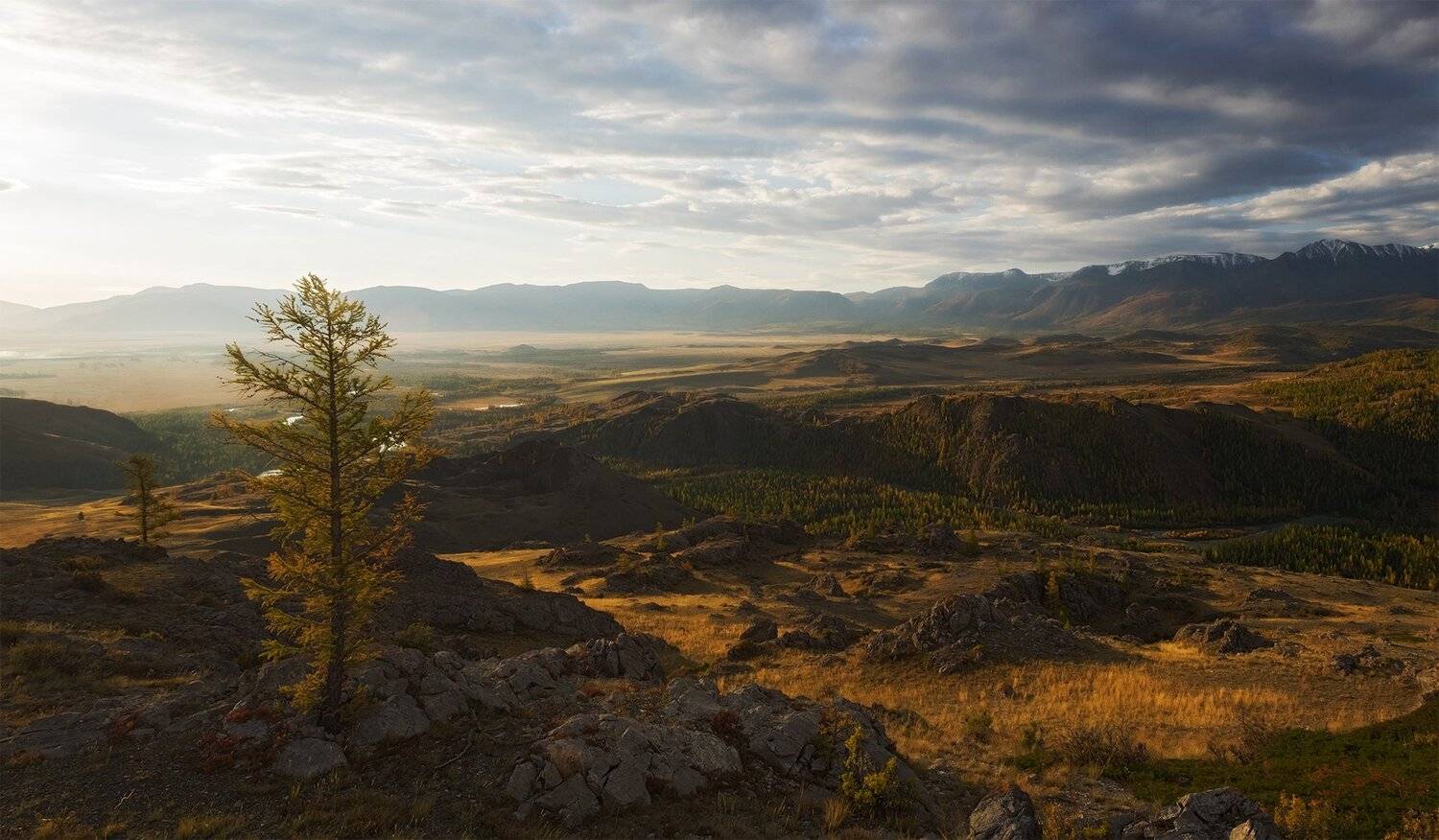 , Лещёнок Александр
