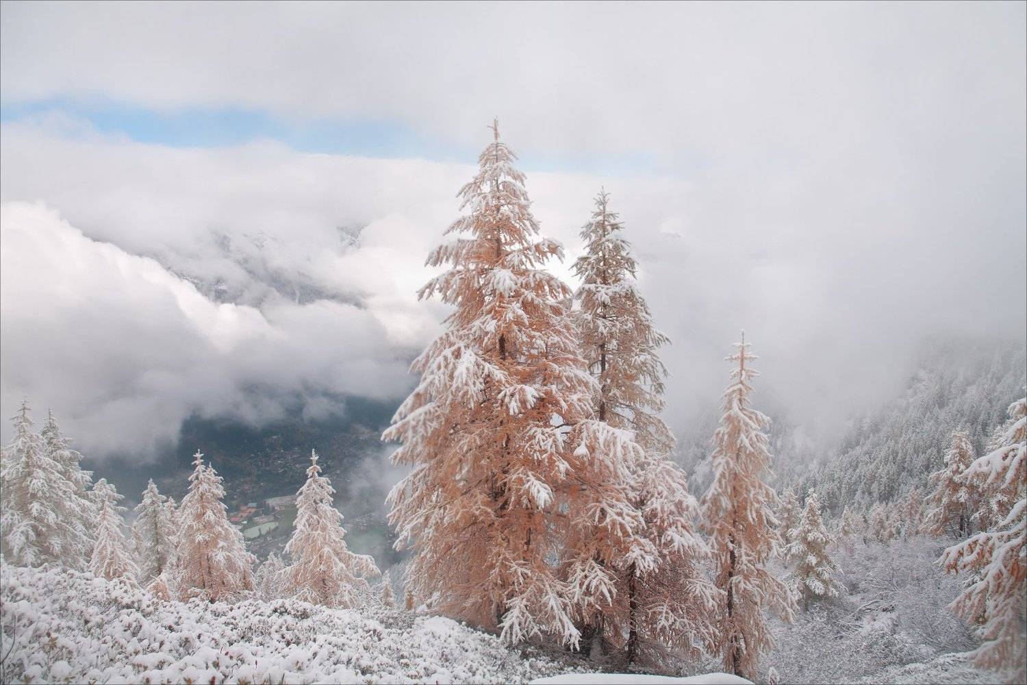 , Михалюк Сергей.
