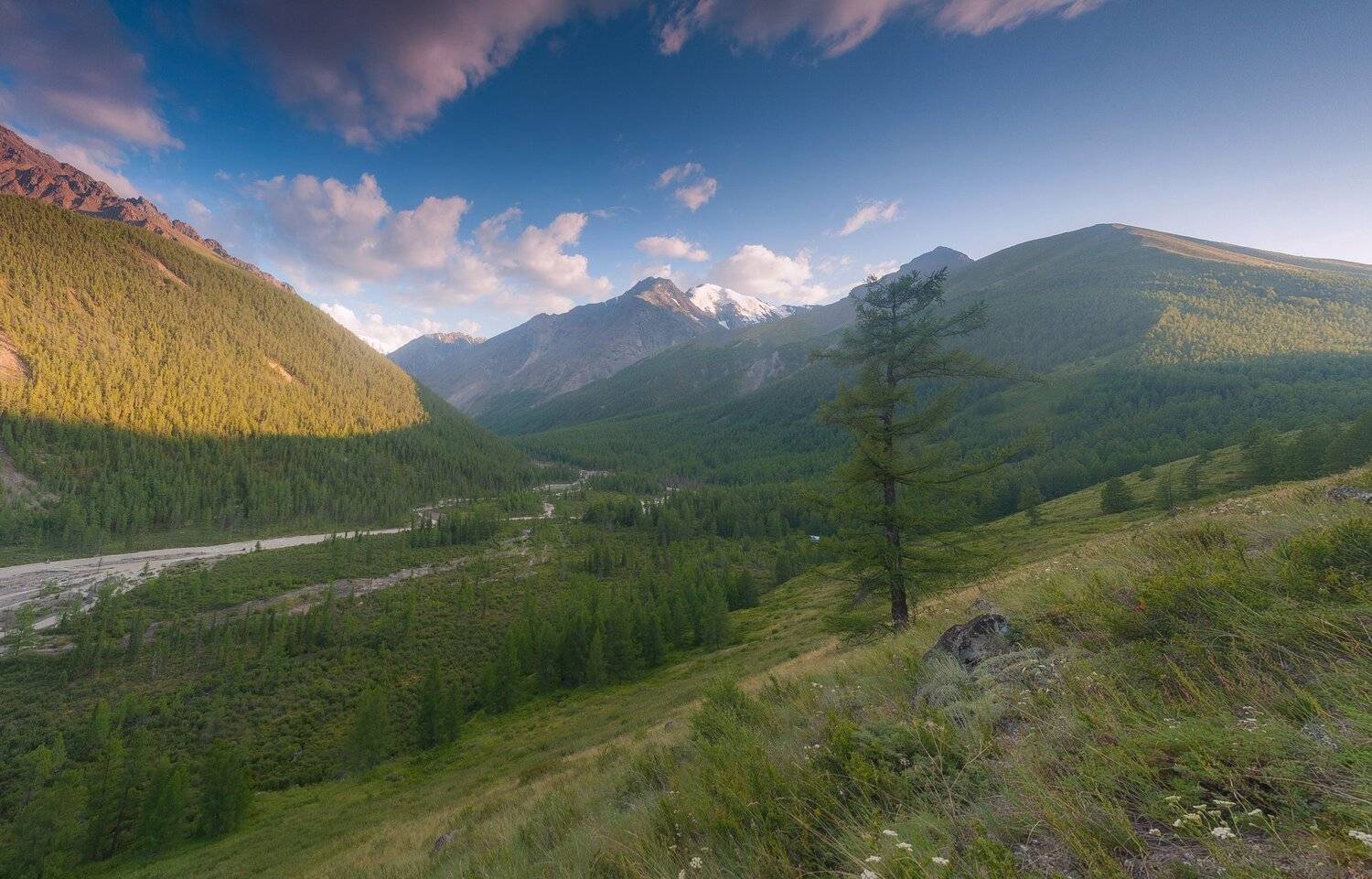 маашей, алтай, Казаков Петр