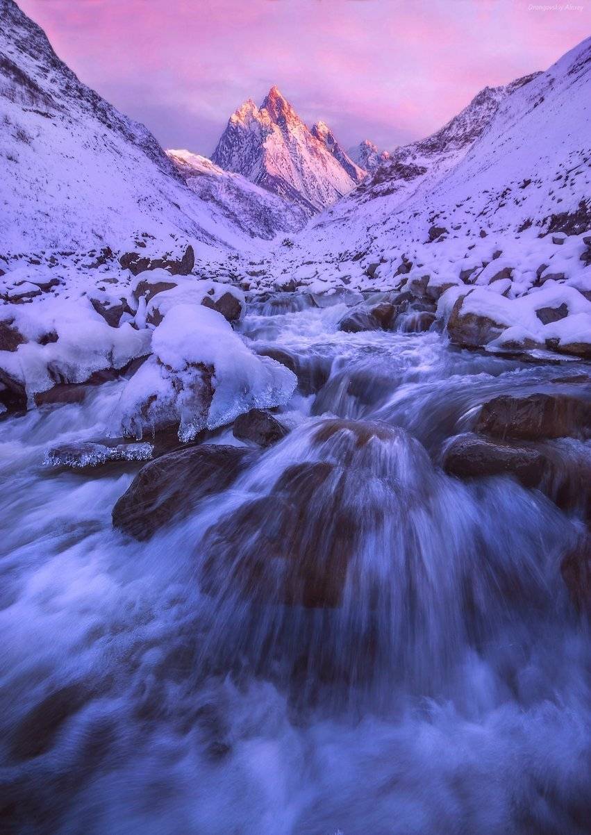 , Алексей Дранговский