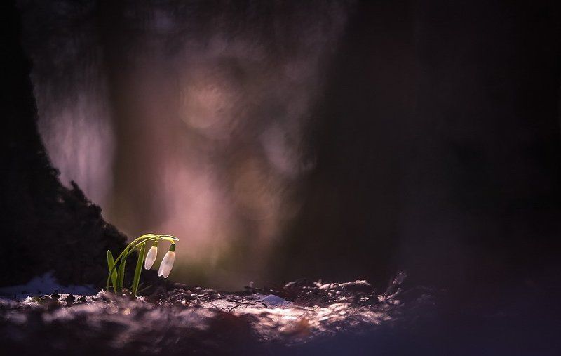 Согретые любовью фото превью