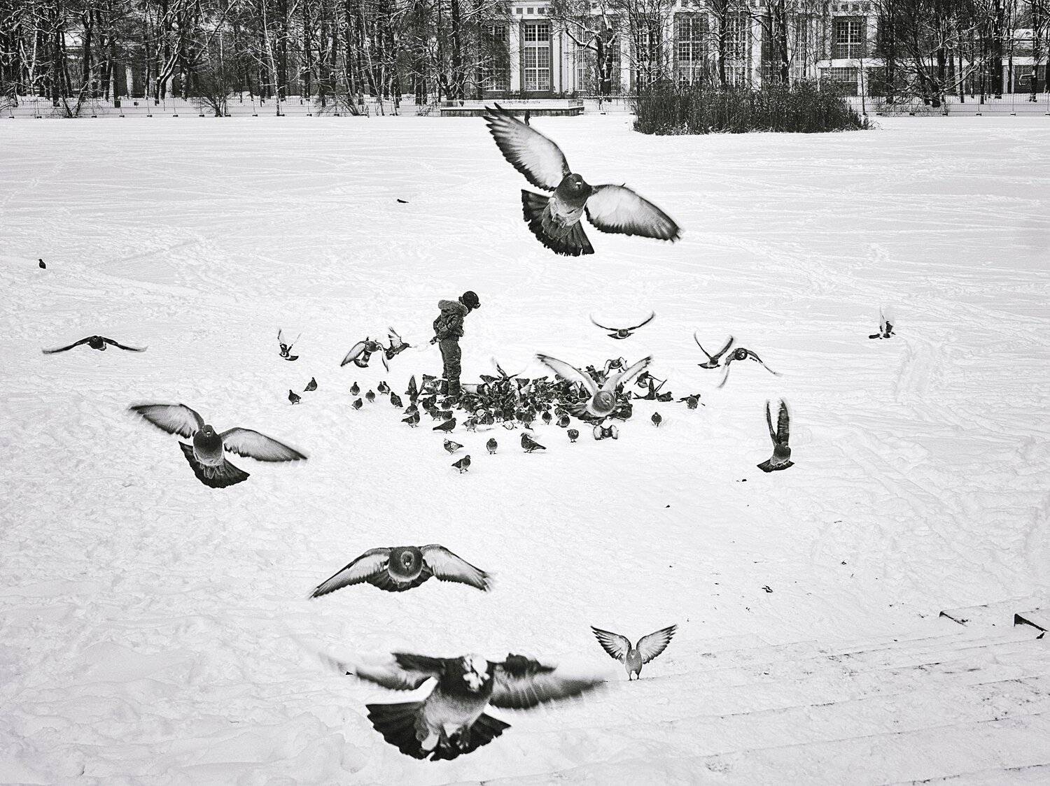 , Вавилова Елизавета