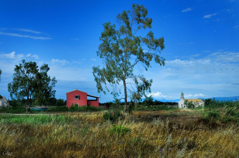 Построить дом, посадить дерево, ... фото превью
