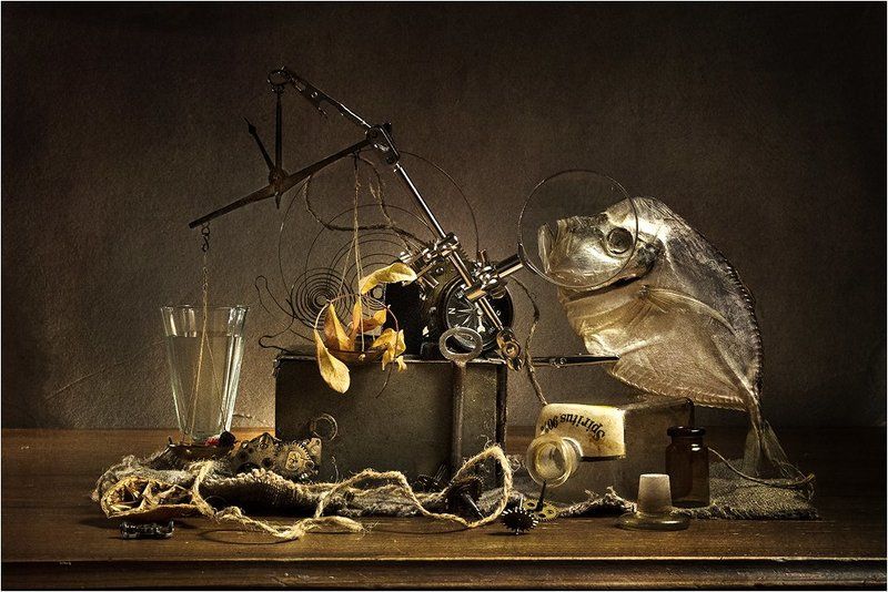 Рыбная ночь фото превью