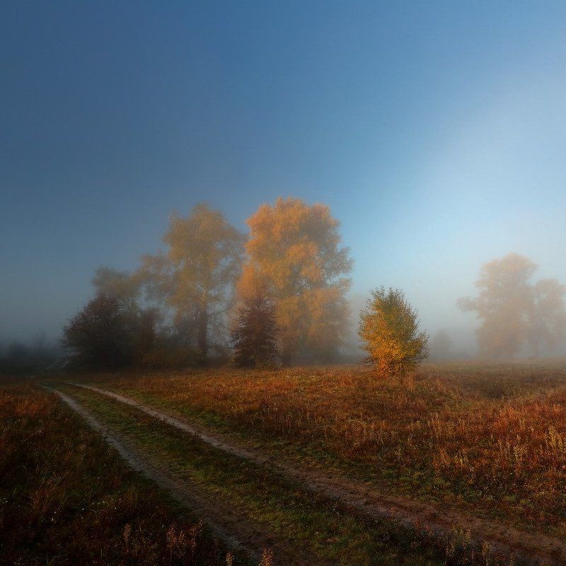 дорога,осень,туман,утро Осенний сон. фото превью