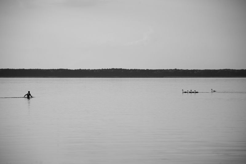 Untitled фото превью