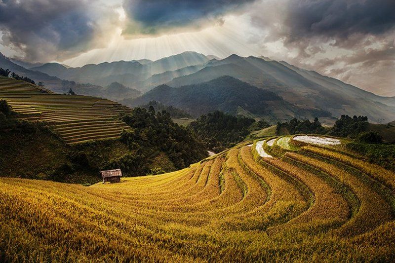 Mu Cang Chai, Vietnam фото превью