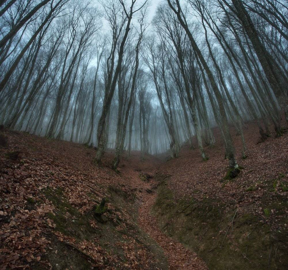 , Павел Глушков