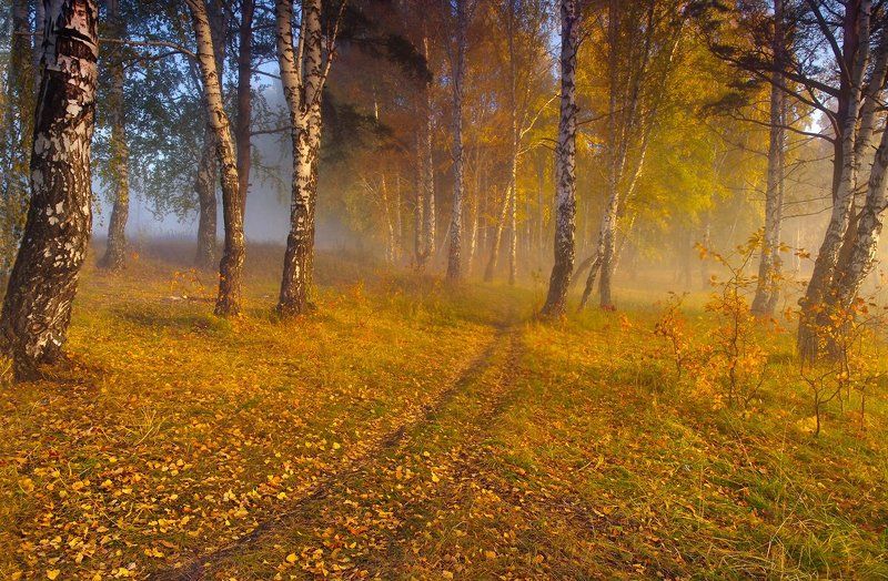 Прогулка осенним утром фото превью