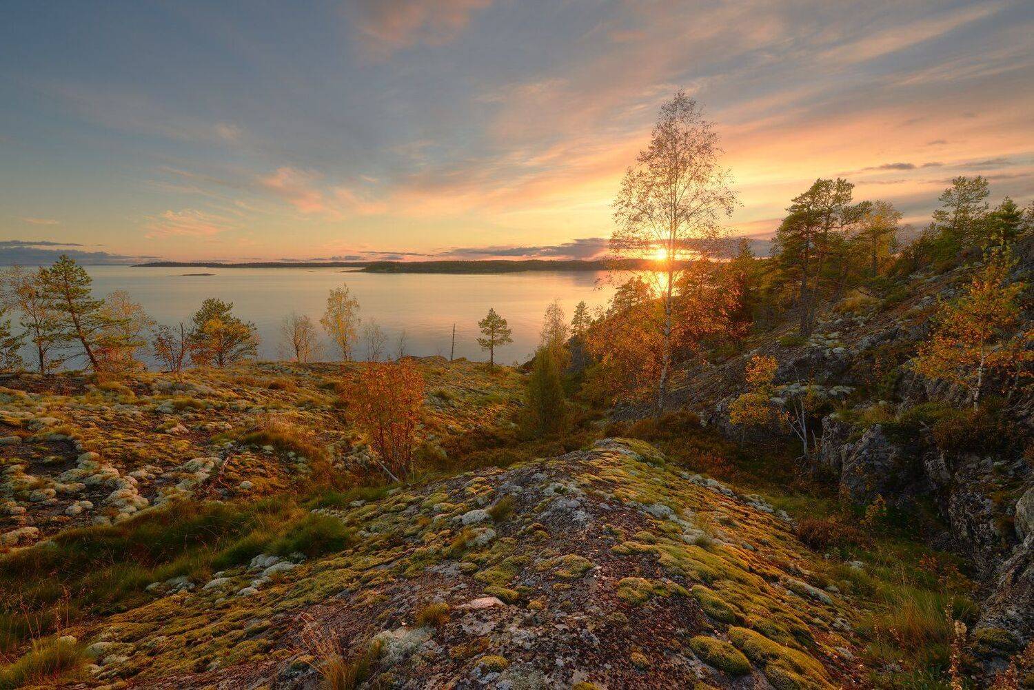 , Максим Евдокимов ( www.wildphotorus.ru )