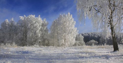 Русский пейзаж )