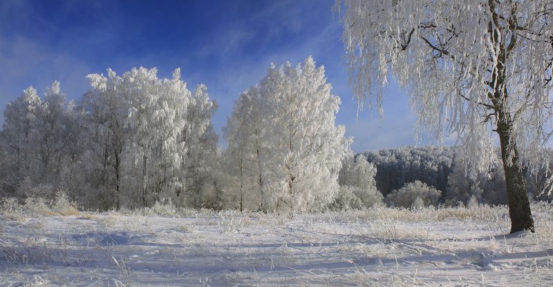 зима Русский пейзаж ) фото превью