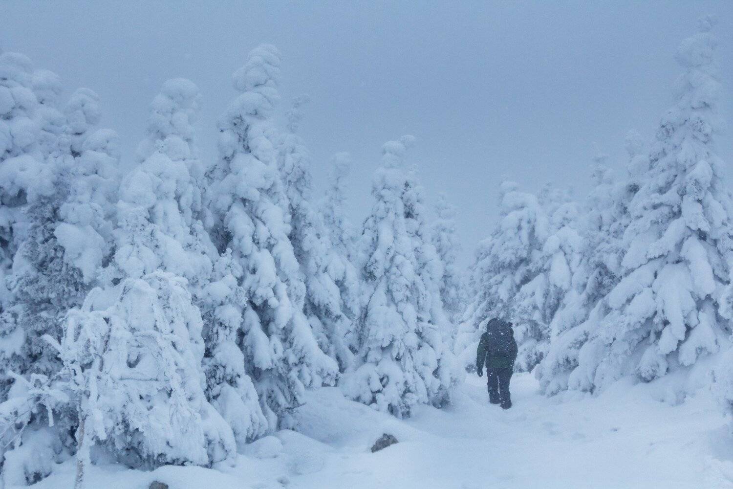 урал, южный урал, зюраткуль, зимний лес, зима, путешественник, турист, Сергей Гарифуллин