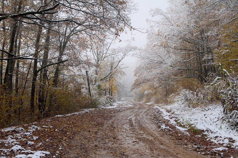 Дорога в зиму фото превью