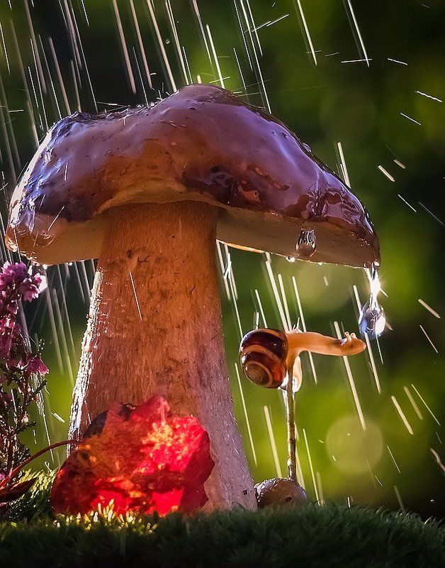 ...что мне дождик проливной... фото превью