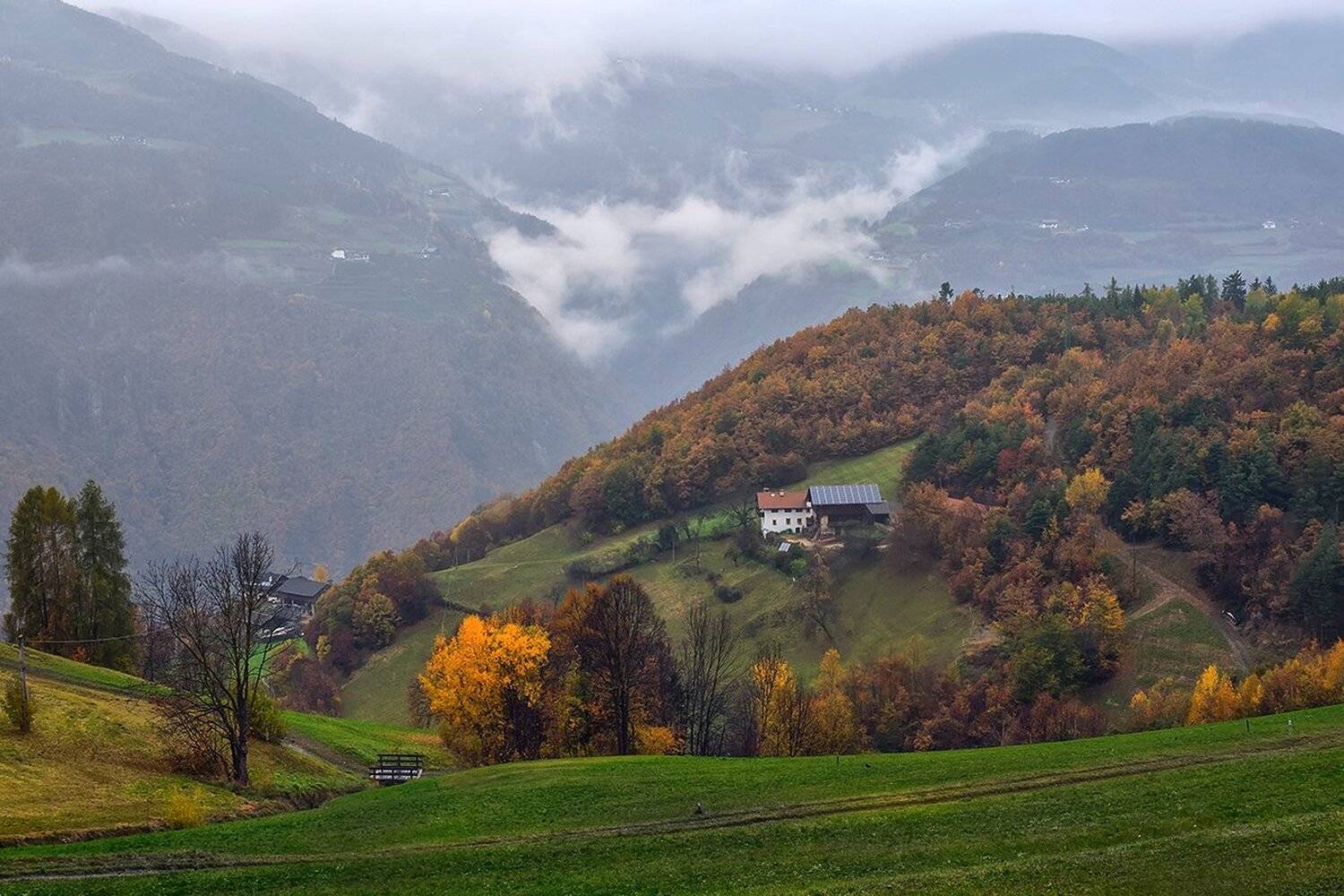 , Игорь Дубровский