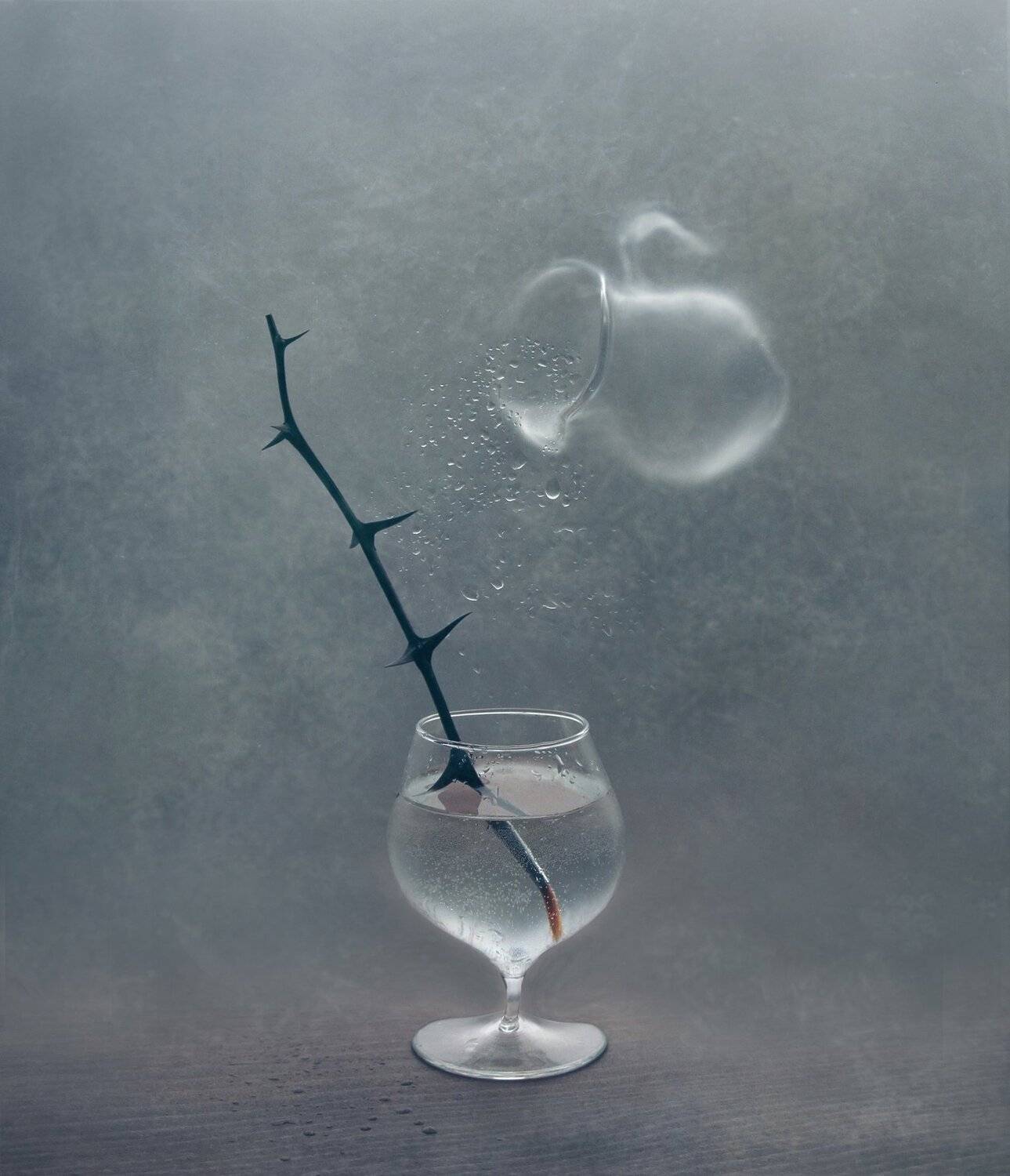 бокал, ветка, колючки, кисть, капли, кувшин, вода, арт, натюрморт, Елена