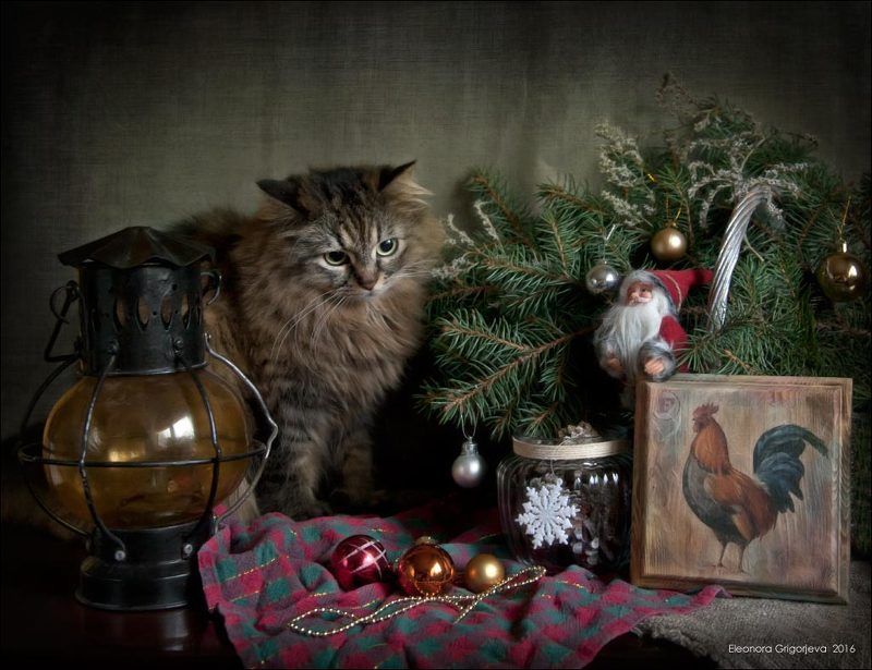 Декупаж, Ёлка, Ёлочные игрушки, Кошка, Натюркотики, Новый год Скоро Новый год! фото превью