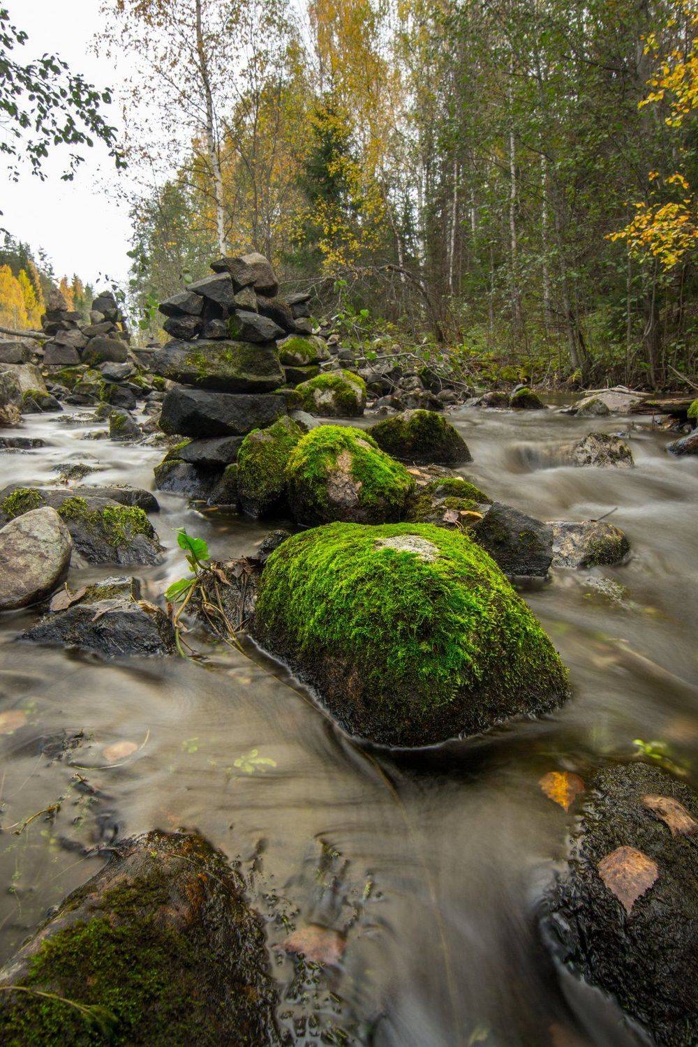 природа, карелия, осень, вода, рука, длинная выдержка, листья, Михаил Проскалов