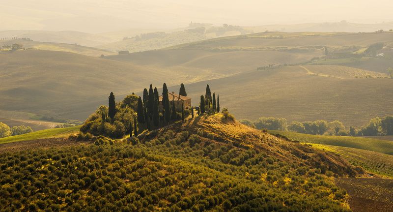 belvedere фото превью