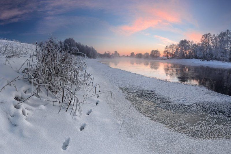 --- фото превью