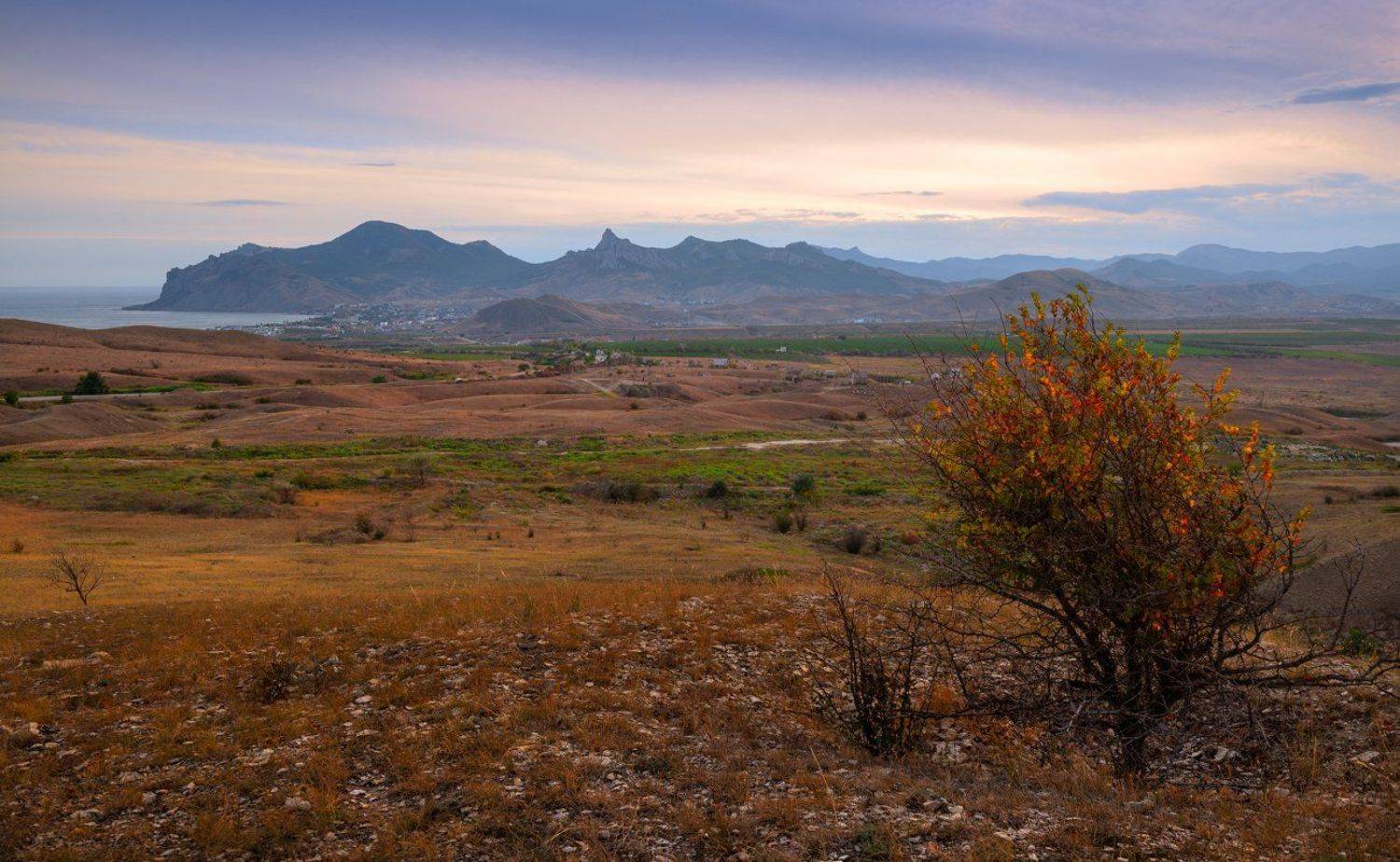, Галанзовская Оксана